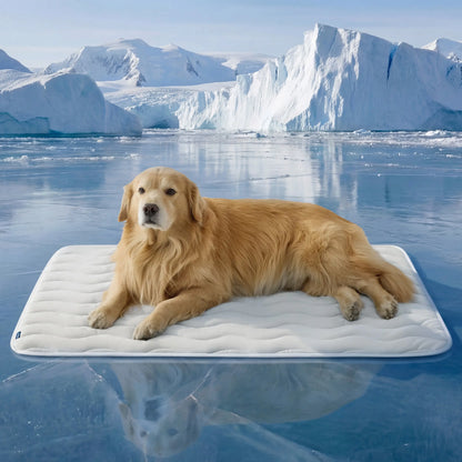 ❄Summer Dog and Cat Cooling Mat