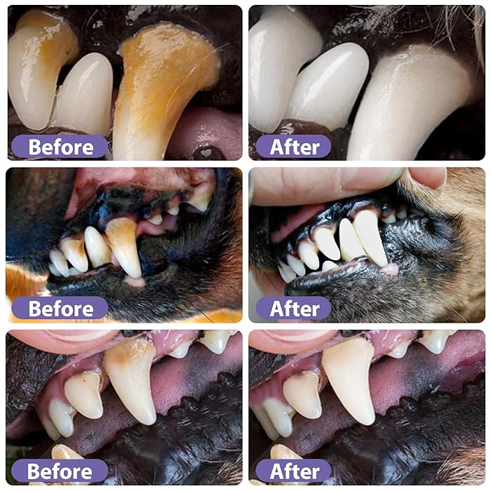 Dental Pet: Pet Dental Repair & Cleaning Gel 🐶🐱 LAST DAY • FINAL CLEARANCE SALE