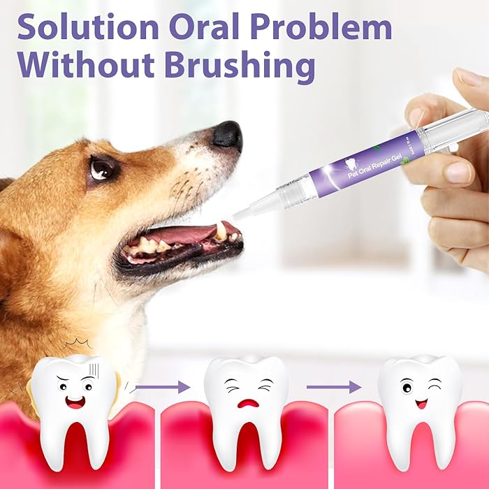 Dental Pet: Pet Dental Repair & Cleaning Gel 🐶🐱 LAST DAY • FINAL CLEARANCE SALE