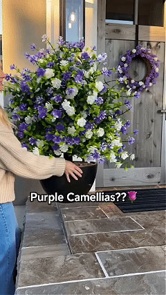 🔥 Limited Stock-50% Off | Artificial Potted Trees With Ground Stakes