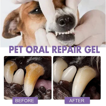 Dental Pet: Pet Dental Repair & Cleaning Gel 🐶🐱 LAST DAY • FINAL CLEARANCE SALE