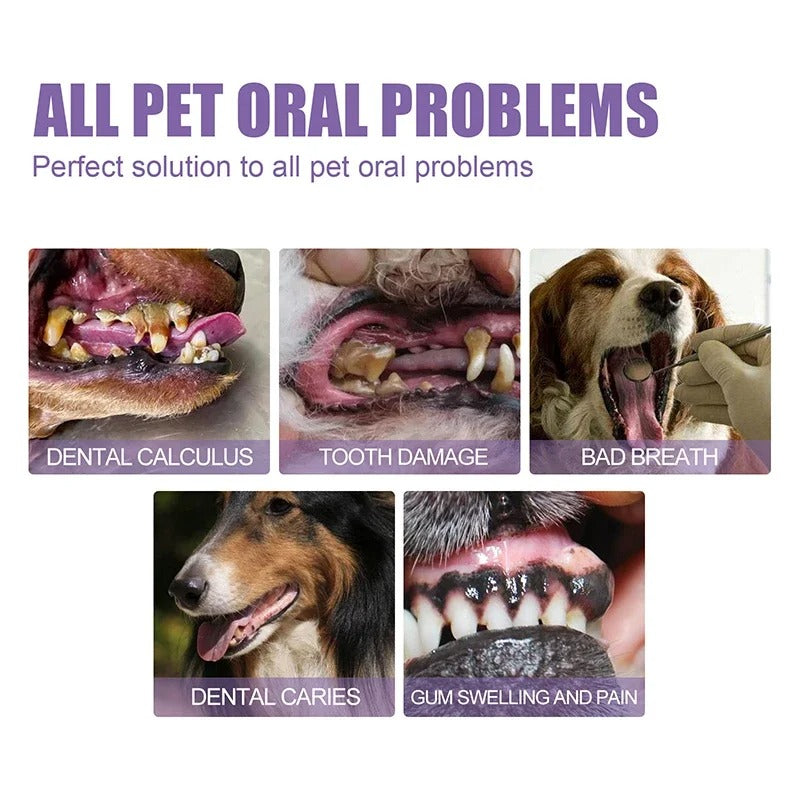 Dental Pet: Pet Dental Repair & Cleaning Gel 🐶🐱 LAST DAY • FINAL CLEARANCE SALE
