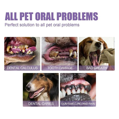 Dental Pet: Pet Dental Repair & Cleaning Gel 🐶🐱 LAST DAY • FINAL CLEARANCE SALE