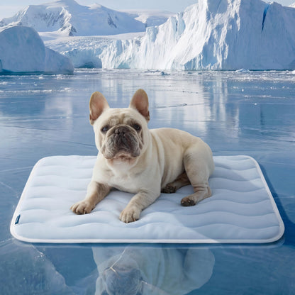 ❄Summer Dog and Cat Cooling Mat