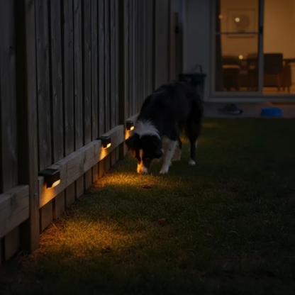 💡 OUTDOOR SOLAR LIGHTS SET ✨ - Light Up Your Nights! 🌙