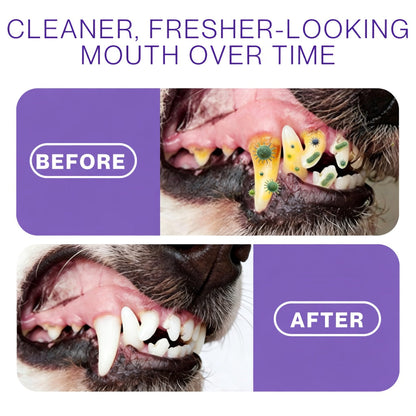 Pet Oral Spray ✅ Freshen Breath, Remove Tartar & Promote gum regeneration, stabilize teeth 🦷
