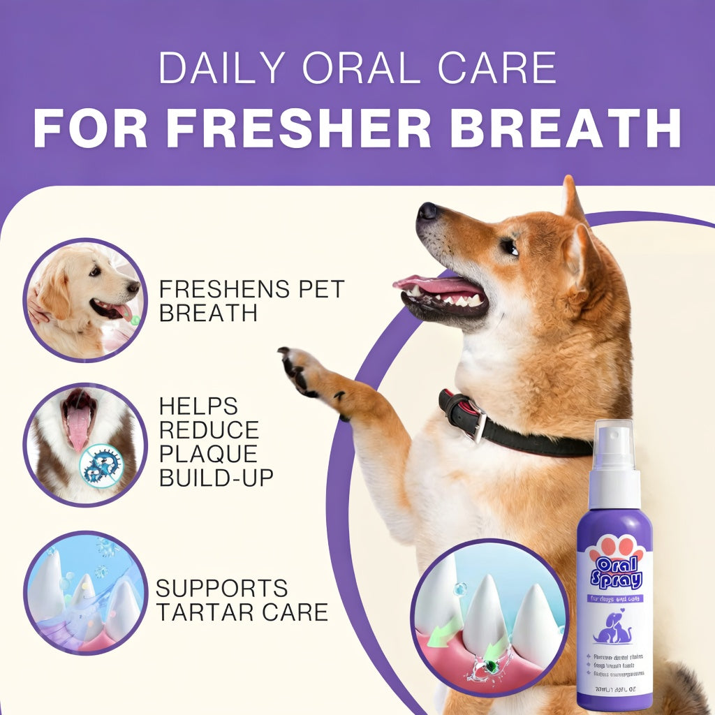 Pet Oral Spray ✅ Freshen Breath, Remove Tartar & Promote gum regeneration, stabilize teeth 🦷