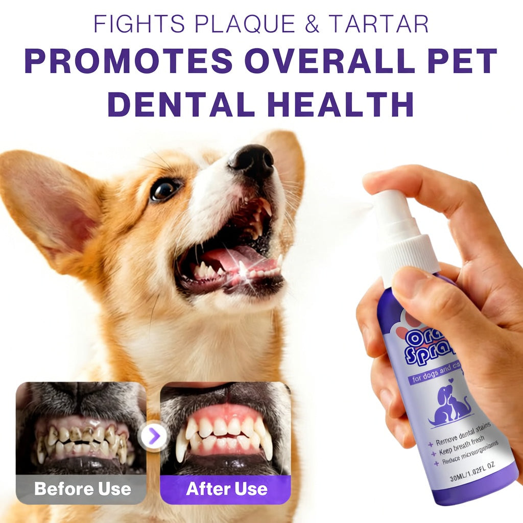 Pet Oral Spray ✅ Freshen Breath, Remove Tartar & Promote gum regeneration, stabilize teeth 🦷